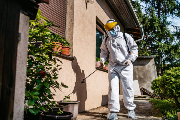 Best Affordable Pest Control Services  in Falls City, OR